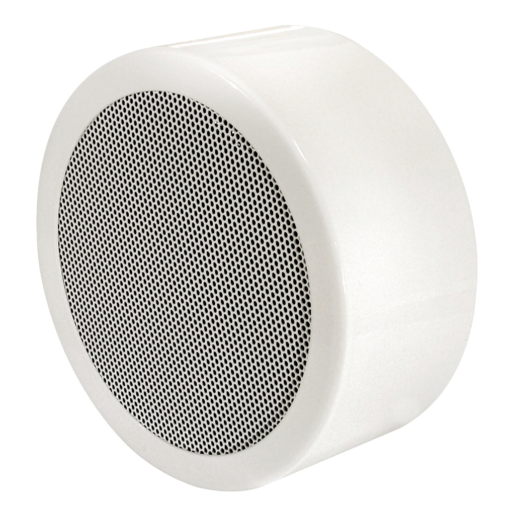 Altavoz de pared o techo de 6,5" y 10 W